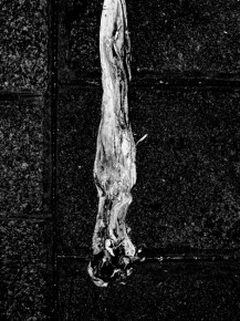 nm_peinture001_3x4NB