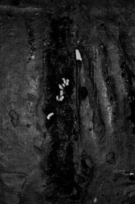 nm_livraison_4517_I1NB